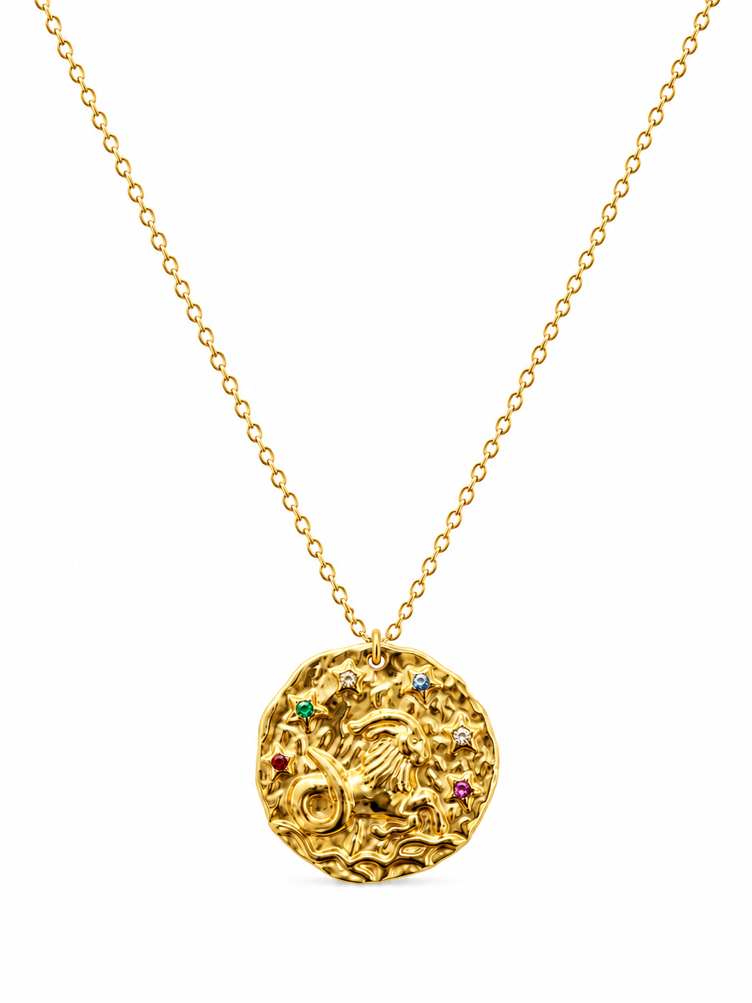Capricorn Zodiac Coin Necklace