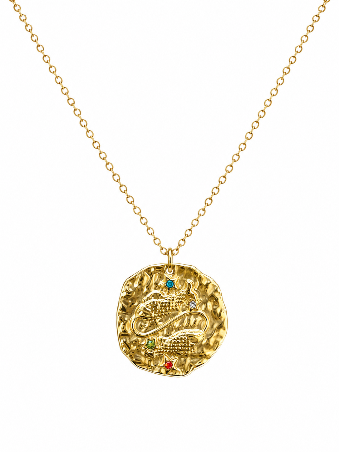 Pisces Zodiac Coin Necklace